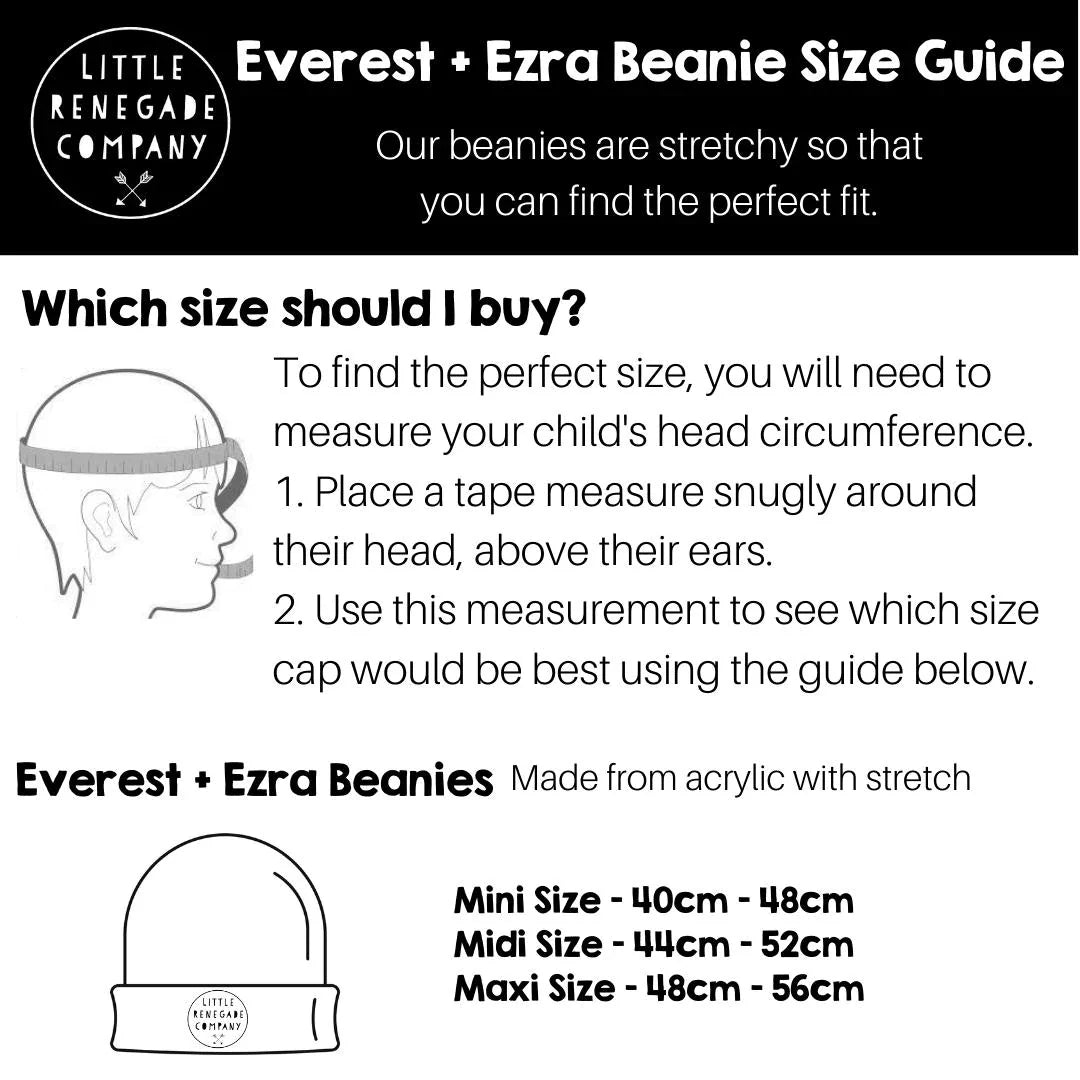 Little Renegade Company - Ezra Beanie | Grey