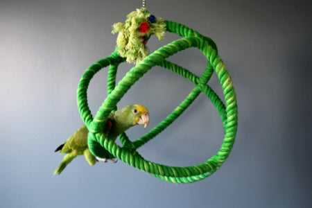 Hari Orbiter Swing Perch Large