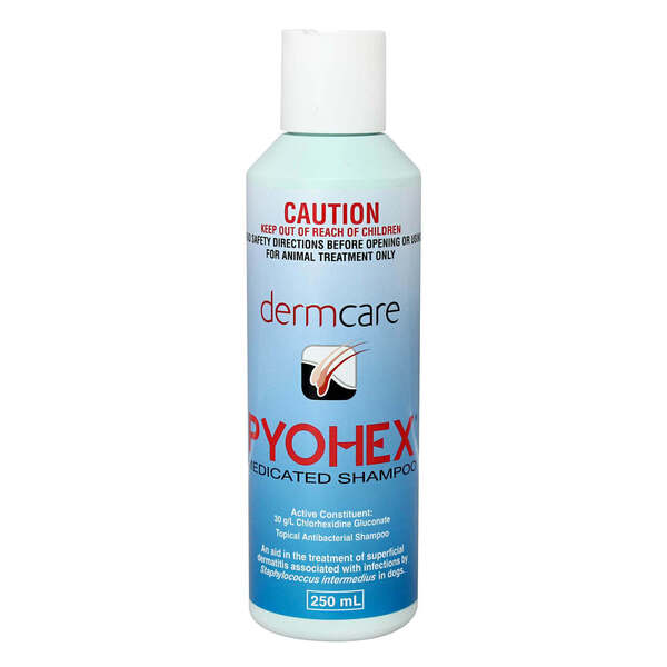 Pyohex Medicated Foam 250ml