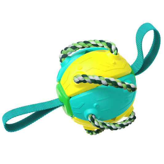 Dog Football Soccer Ball