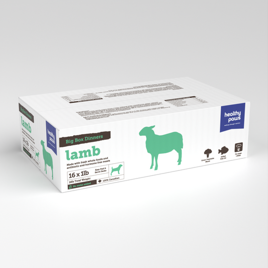 Healthy Paws 16lb Big Box Dinner
