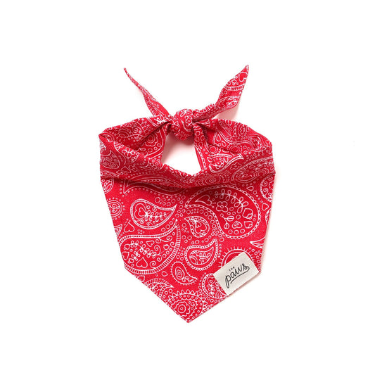 The Paws Bandana - Rodeo (Red Paisley)