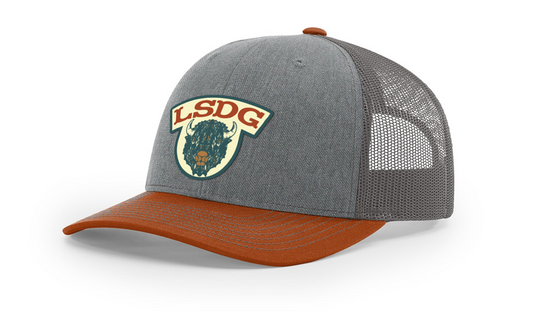 Retro Buffalo Patch Hat